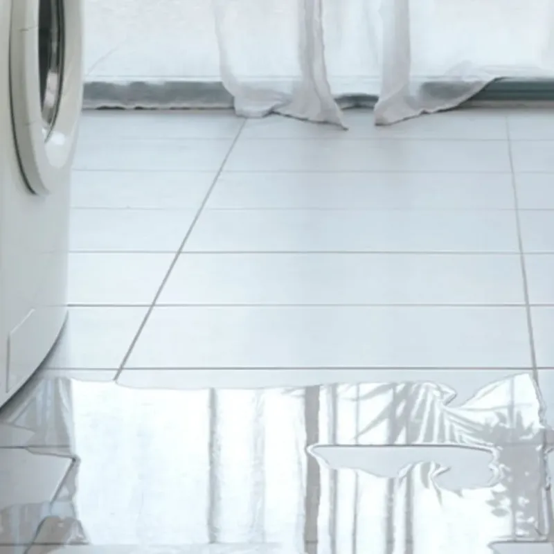 Appliance Leak Cleanup in Eden, TX