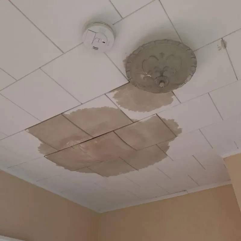 Ceiling Water Damage Repair in Eden, TX