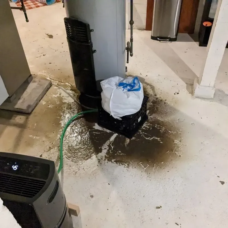 Sewage Backup Cleanup Service in Eden, TX